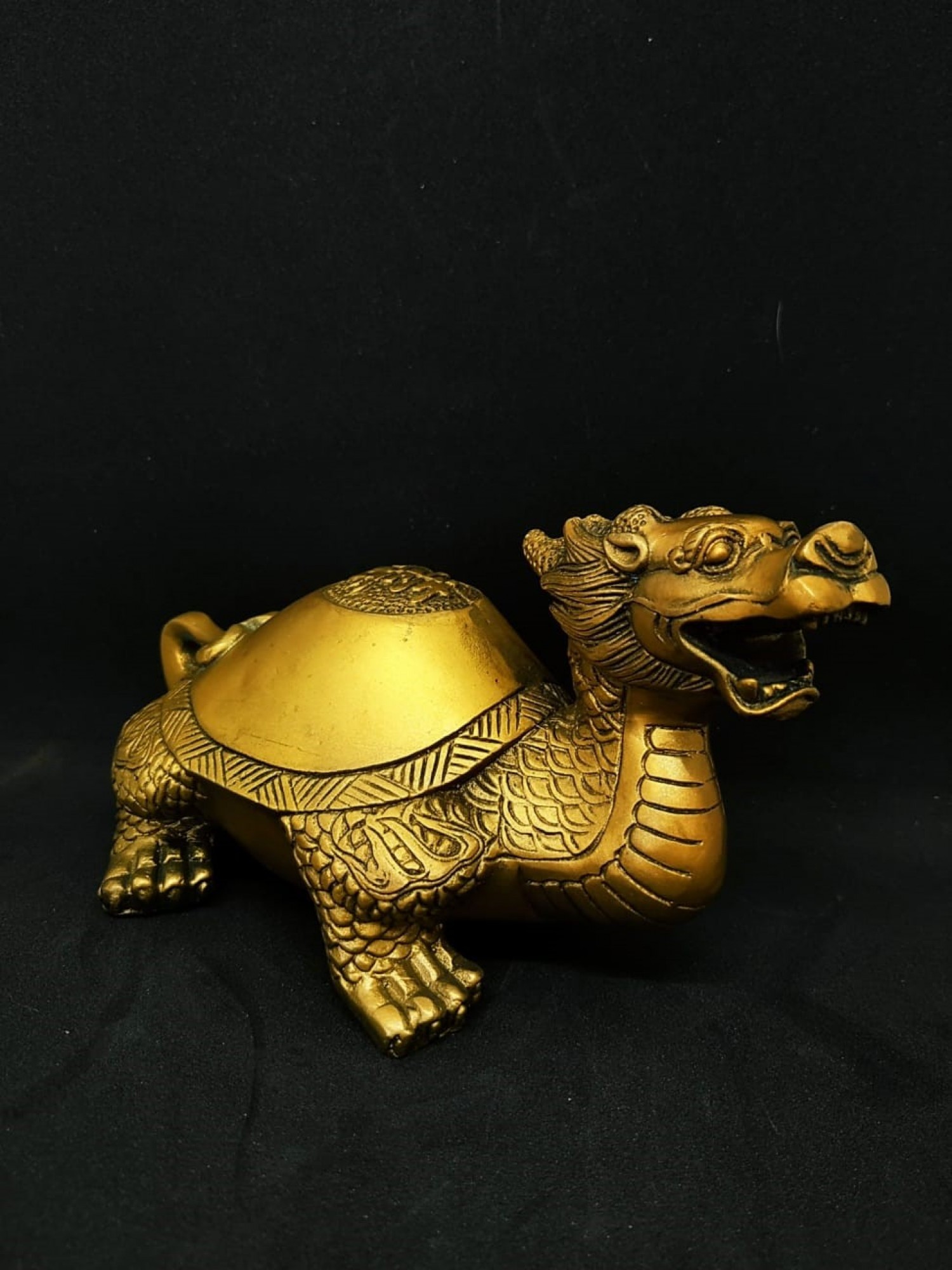 Драконовая черепаха - символ удачи
