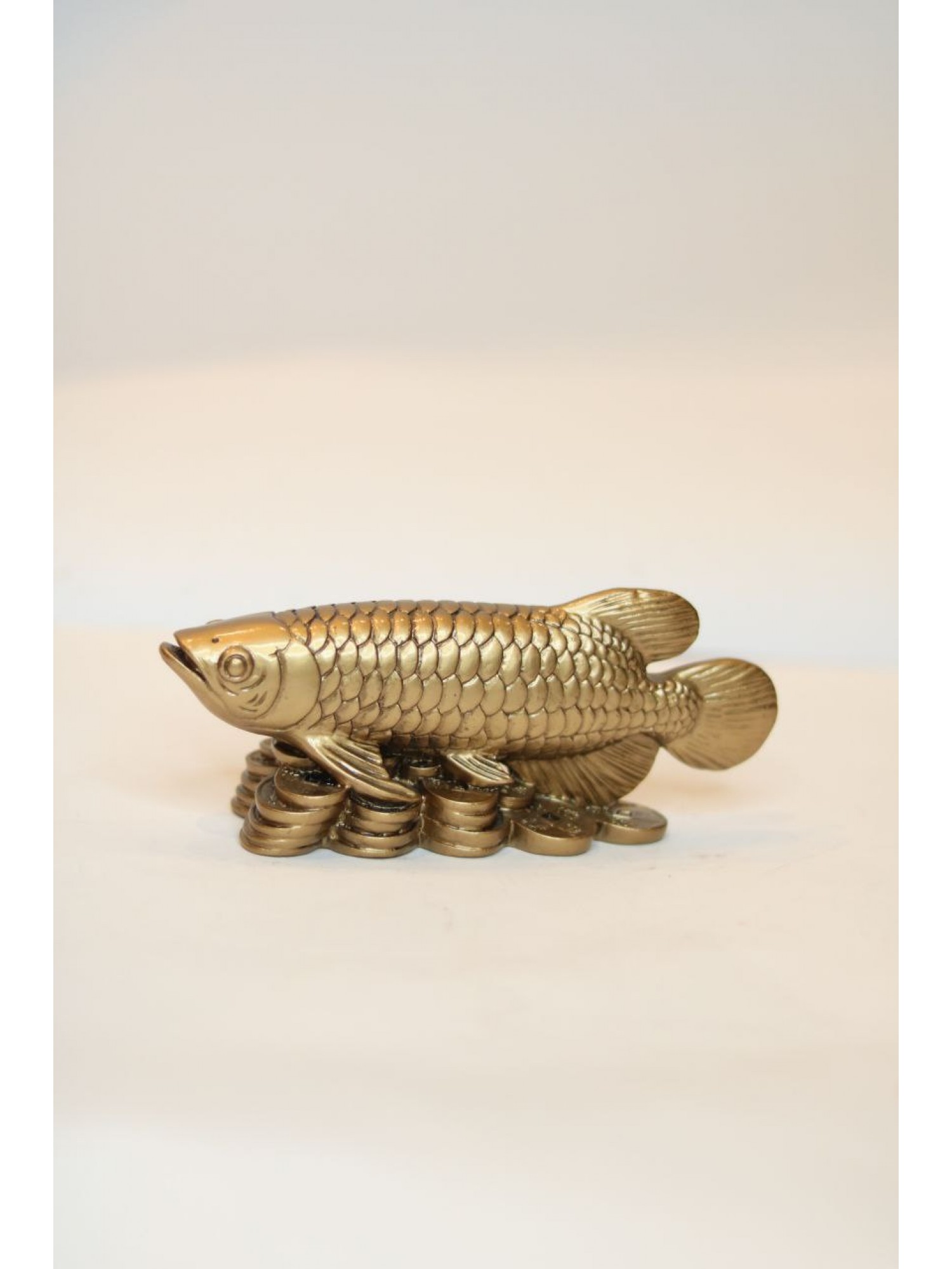 Статуэтка "Арована Рыба Миллионеров" из смолы (средняя) - символ огромного богатства и  успеха в бизнесе!